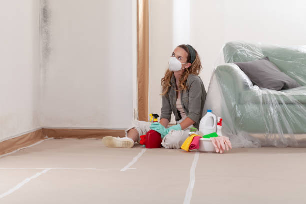 Reliable Basement Mold Remediation contractor in Mount Freedom, NJ by WQB Mold Removal
